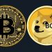 Um Gole de Sobriedade, Uma Aposta de Meme Coin: O Casamento Louco da Safety Shot com a BONK é o Futuro de Wall Street ou um Alerta Final?